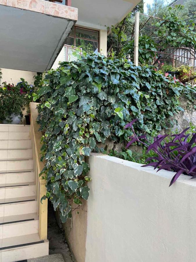 Apartments Vucinovic Τίβατ Εξωτερικό φωτογραφία