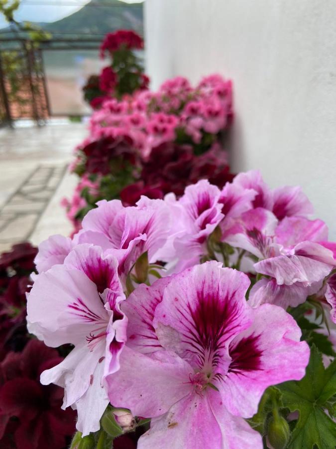 Apartments Vucinovic Τίβατ Εξωτερικό φωτογραφία